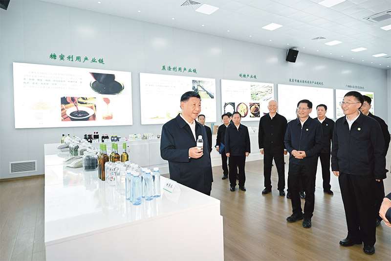 suncitygroup太阳集团